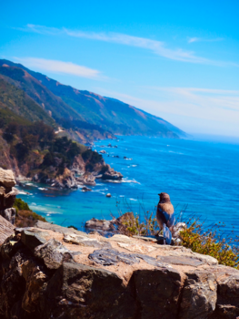 California - Highway 1