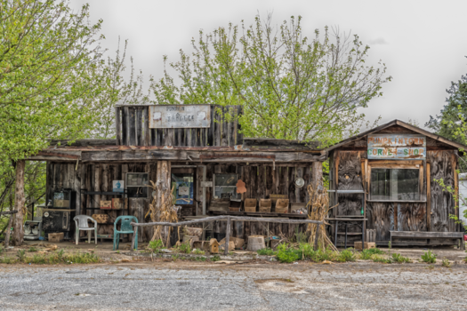 South Carolina - Pumpkins sold out..