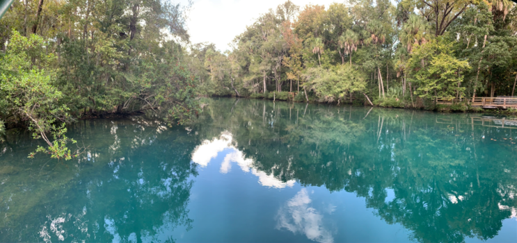 Florida - Cristel River