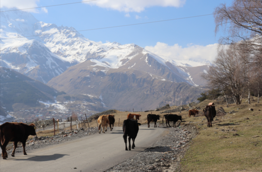 Georgia - Adembenemend Kazbegi - Georgië
