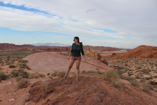 Arizona - Woestijn pose