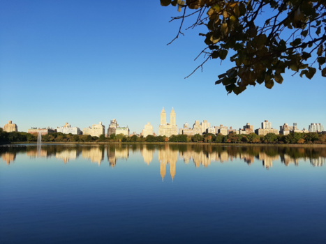 Central Park - Vroege ochtend in Central Park. Moment van rust in New York City