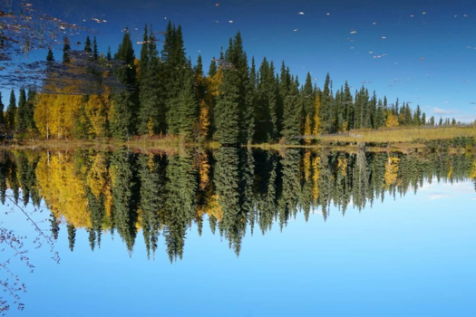 Alaska - The upside down