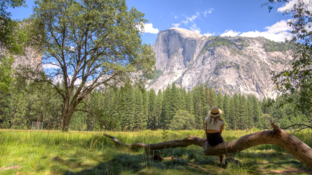 Yosemite National Park - Yosemite National Park 💕