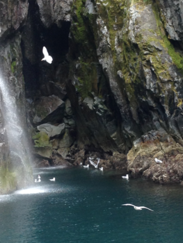 Rondreis Alaska - Inspirerend..zulke verschillen in natuur in Alaska