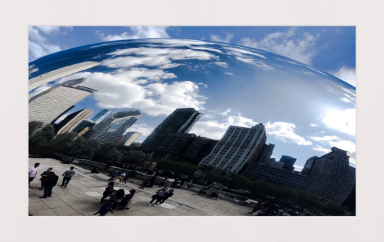 Chicago - The bean