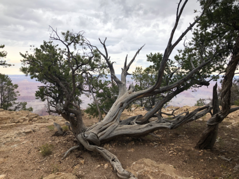 California - Grand Canyon