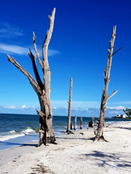 Florida - Verlaten strand
