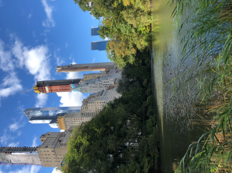 New York - Central park