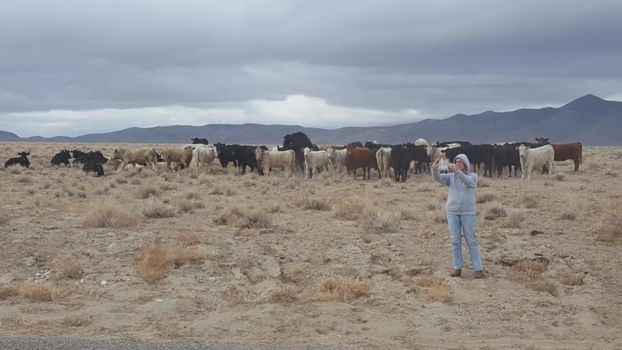 Rondreis door Native America - Road trip