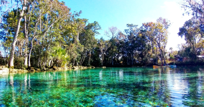 Florida - Tree sister springs