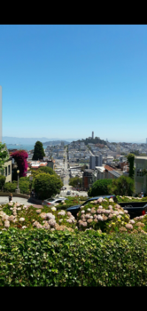 San Francisco - Lombard Street