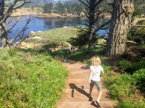 California - Wildboy