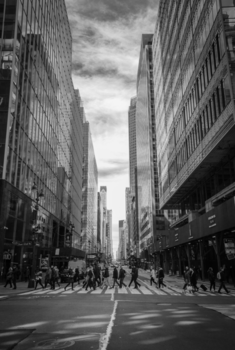 New York - City life of New York