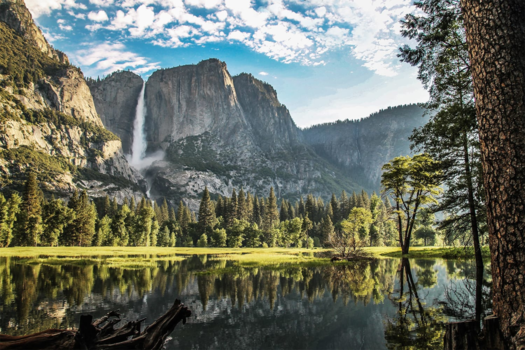 Yosemite National Park - De stilte