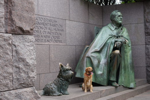 Washington D.C. - Am I also a hero? 🐕