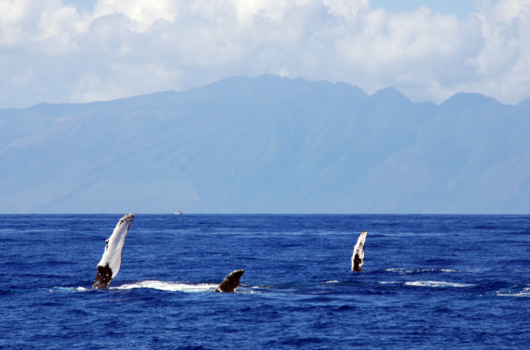 Hawaii - Just the two of us