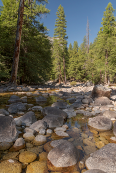 Yosemite National Park - Helder