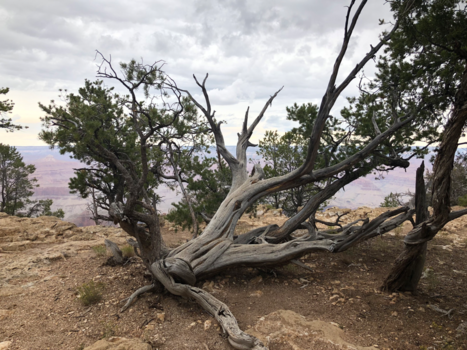 Amerika - Graaaand Canion