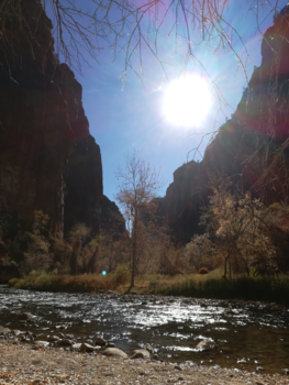 Amerika - Zion national park