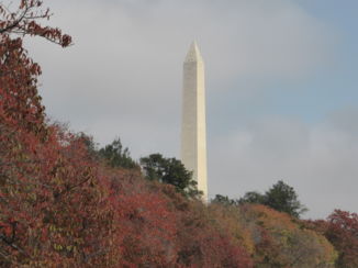 Washington D.C. - Het Washington Monument omringt door herfstkleuren