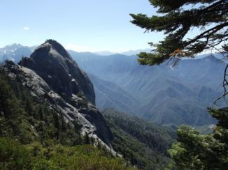 Sequoia en Kings Canyon National Park