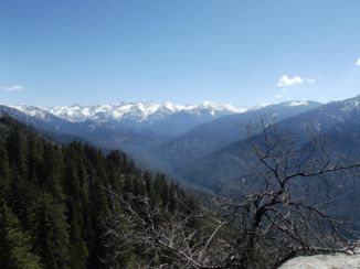 Sequoia en Kings Canyon National Park