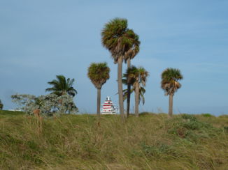 Miami Beach - South Pointe Park