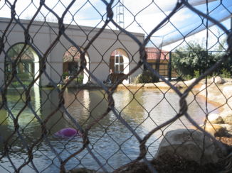 Louisiana - Mike de Tiger