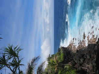 Hawaii - Kustlijn van The Big Island