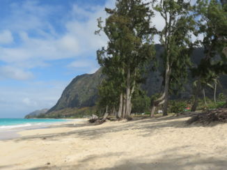 Hawaii - Waimanalo Beach