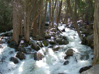 California - Yosemite N.P.