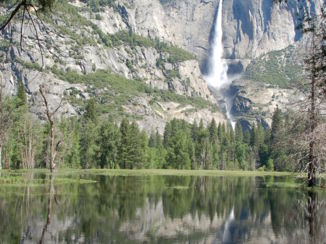 California - Yosemite N.P.