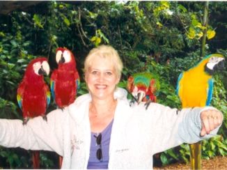 Miami - Parrot Jungle Miami