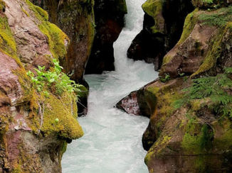 Glacier National Park - Avalance Fall bij Apgar
