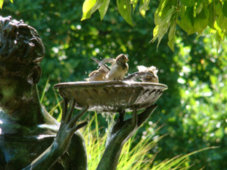 New York - Even verkoelen.