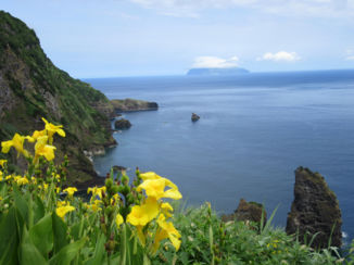 Amerika - eiland hopen Azoren, Flores