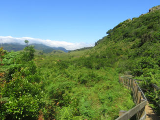 Amerika - wandeling Azoren, Terceira