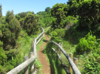 Amerika - wandeling Azoren, Terceira