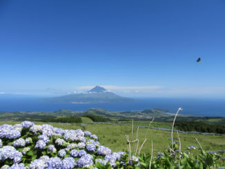 Amerika - Uitzicht op eiland Pico Azoren Faial