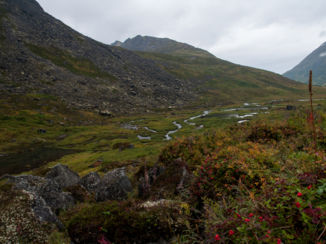 Alaska - Wandeling in de buurt bij Anchorage