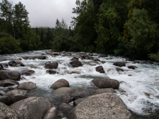 Alaska - 1 van de vele ruwe waterstroompjes