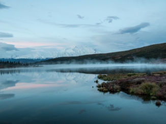 Alaska - Mt Denali, 6 uur in de ochtend, Denali NP