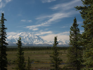 Amerika - Mt Denali