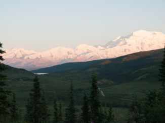 Amerika - Alpen glow , Mt Denali