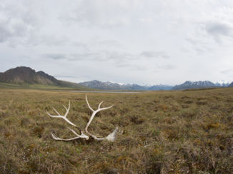 Amerika - Langs de Dalton Highway