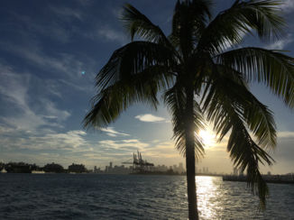 Amerika - Miami city