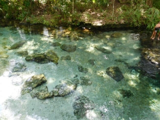 Amerika - Rock Springs kelly Park