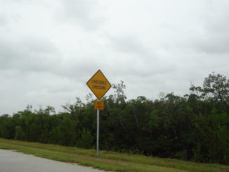 Florida - Zuid-Florida