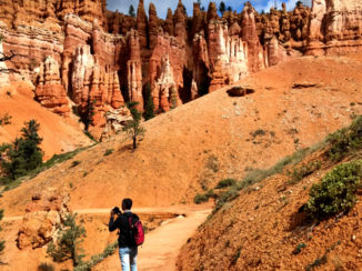 Amerika - Bryce canyon